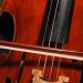 Viyolonsel Müzik Aleti Özellikleri Nelerdir?