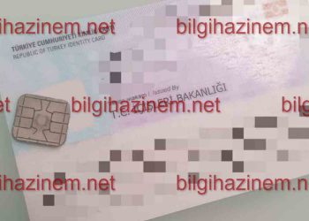 Yeni Kimlik Çipi Kayboldu Ne Yapmak Gerekir? Kimlik Çipi Düştü Ne Yapmalıyım?