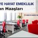 Türkiye Hayat Emeklilik Çalışan Maaşları