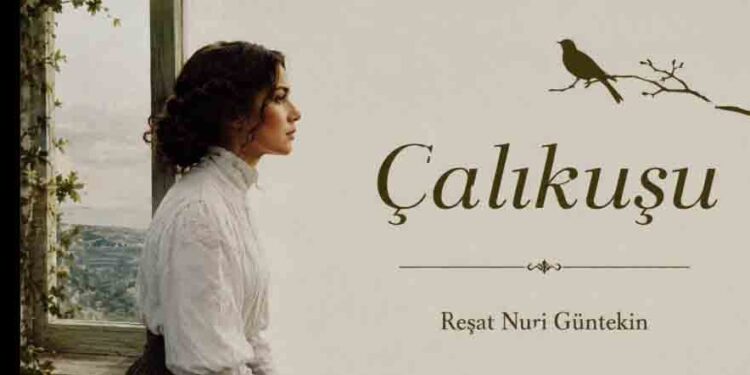 Çalıkuşu Romanının Kısa Özeti